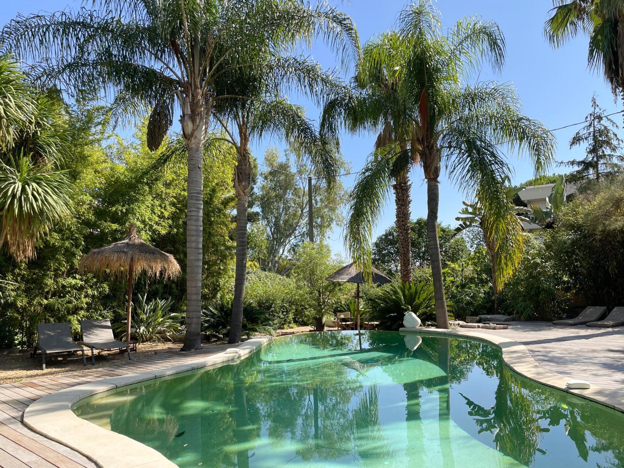 Maison d'hôtes St Barth Cannes