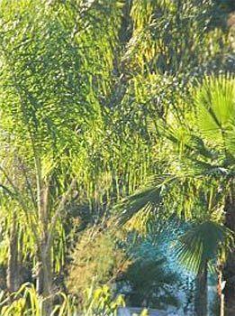 St Barth Gasthof Cannes